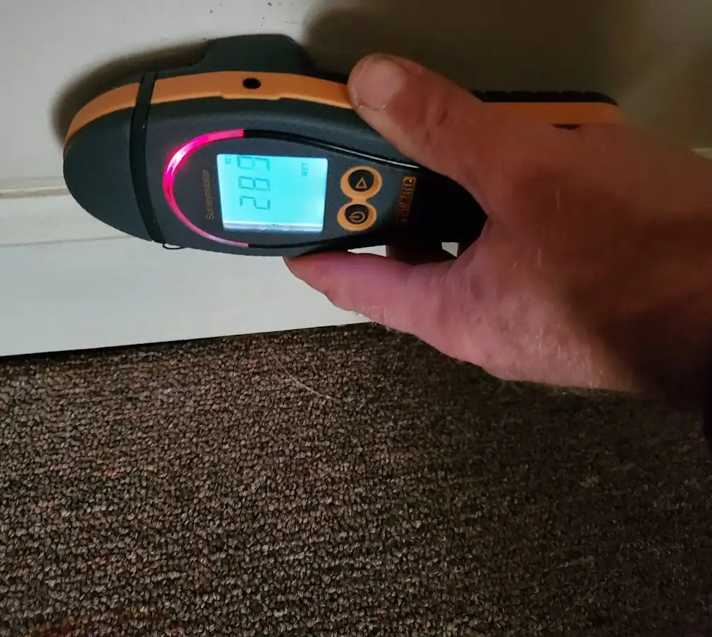 Moisture detection at baseboard during Mold Inspection & Testing in Oregon